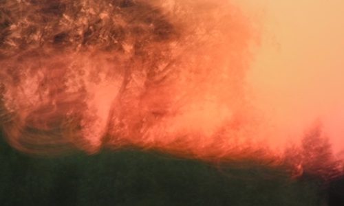 In Natura – Exposição de Fotografias na Caixa Cultural de São Paulo