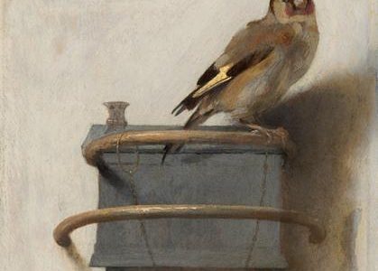 O Pintassilgo, Carel Fabritius